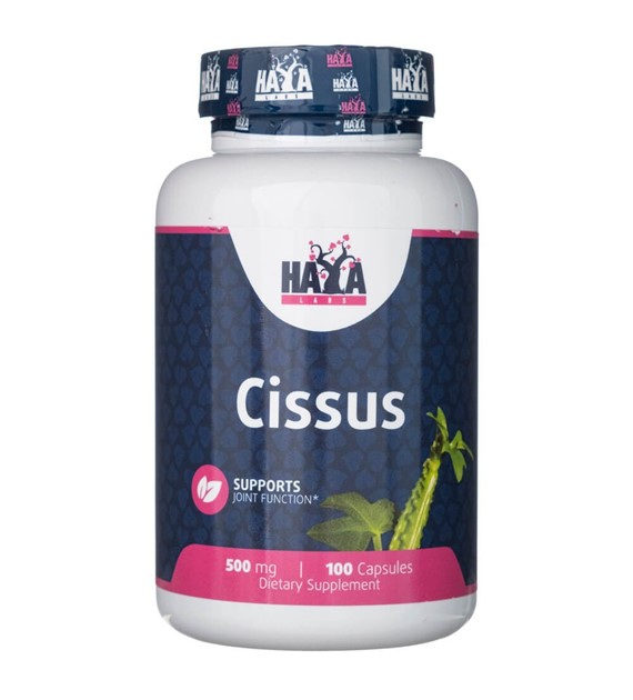 Haya Labs Cissus 500 mg - 100 kapsułek