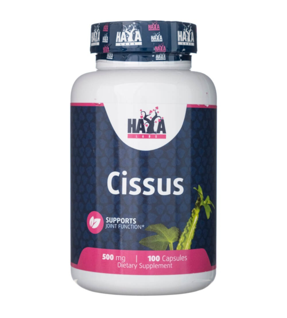 Haya Labs Cissus 500 mg - 100 kapsułek