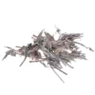 Bilovit - White sage in leaves 100g / Bilovit Szałwia biała w liściach - 100 g