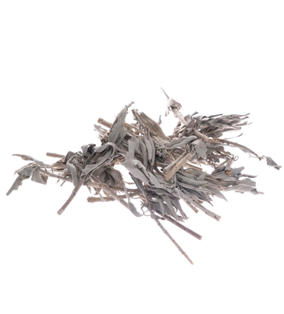 Bilovit - White sage in leaves 100g / Bilovit Szałwia biała w liściach - 100 g