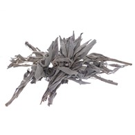 Bilovit - White sage in leaves 50g / Bilovit Szałwia biała w liściach - 50 g
