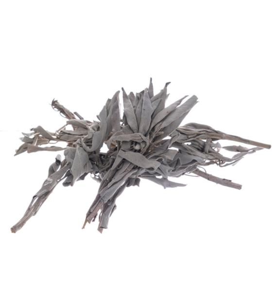 Bilovit - White sage in leaves 50g / Bilovit Szałwia biała w liściach - 50 g
