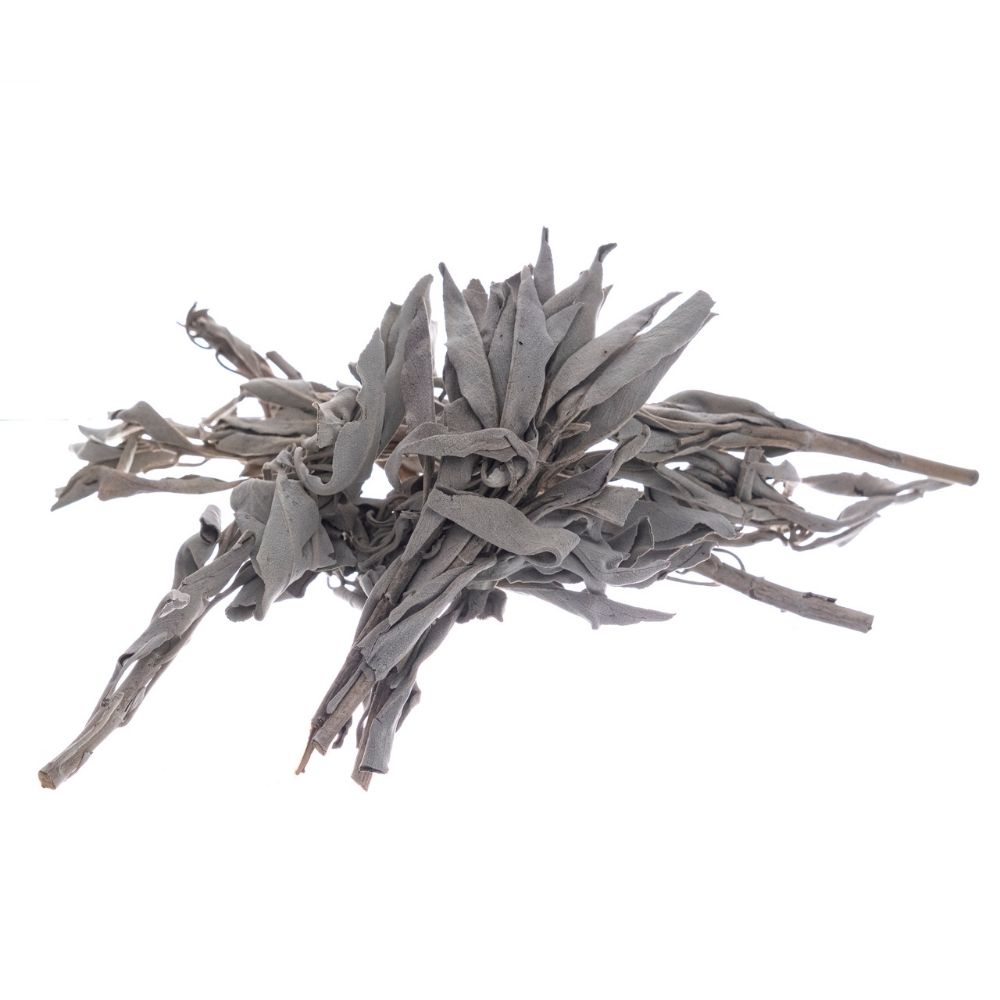 Bilovit - White sage in leaves 50g / Bilovit Szałwia biała w liściach - 50 g