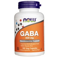 Now Foods GABA 500 mg - 100 veg. kapslí