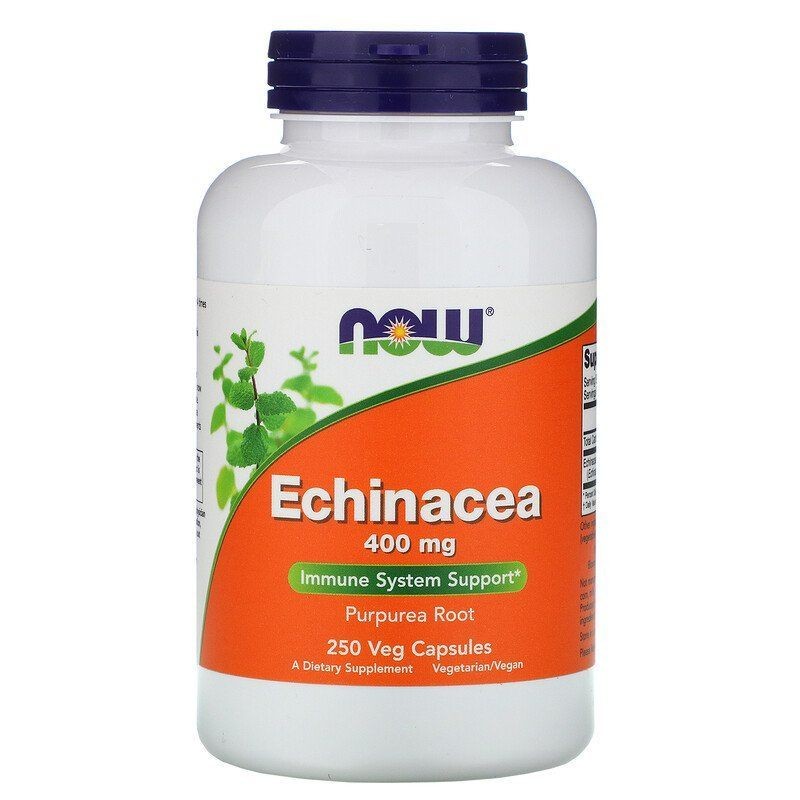 Now Foods Echinacea 400 mg - 250 kapsułek