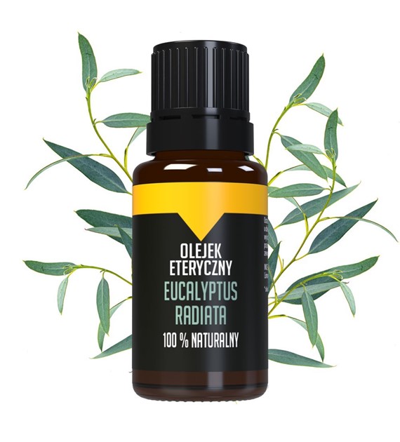 Bilovit Olejek eteryczny Eucalyptus radiata - 10 ml