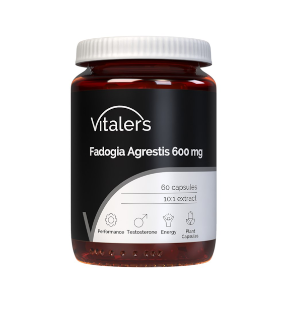 Vitaler's Fadogia Agrestis 600 mg - 60 kapsułek