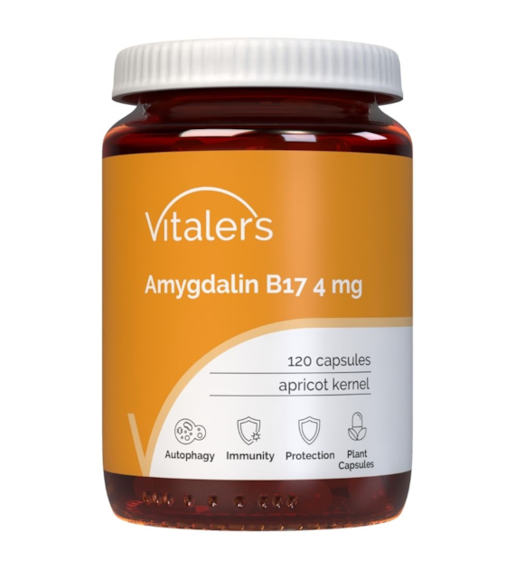 Vitaler's Amigdalina (Witamina B17) 4 mg - 120 kapsułek
