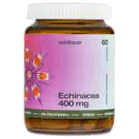 Wellbear Echinacea (Jeżówka purpurowa) 400 mg - 60 kapsułek